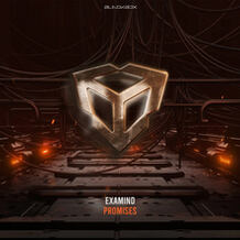 Promises