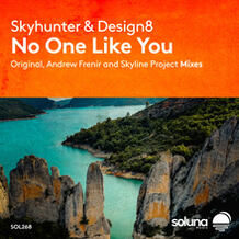 No One Like You