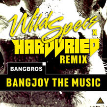 Bangjoy the Music (Wild Specs & Harddried Remix)