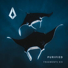 Purified Fragments XIX