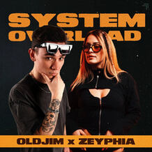 System Overload