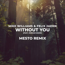 Without You (Mesto Remix)