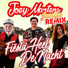 Fiesta Heel De Nacht (DJ Jantje Remix)