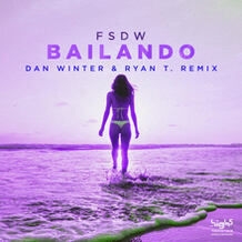 Bailando (Dan Winter & Ryan T. Remix)