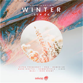 Winter Sun 04