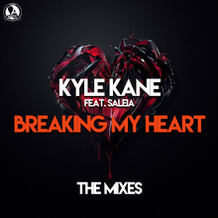 Breaking My Heart (The Mixes)