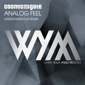 Analog Feel (Greenhaven DJs Remix)